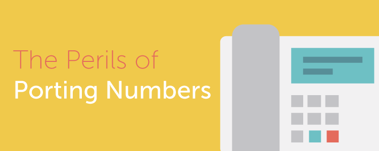 Porting Numbers