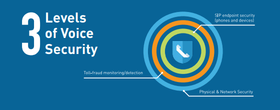 Voice-Security-Levels